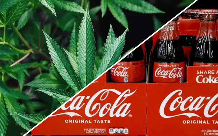 coca cola cannabis