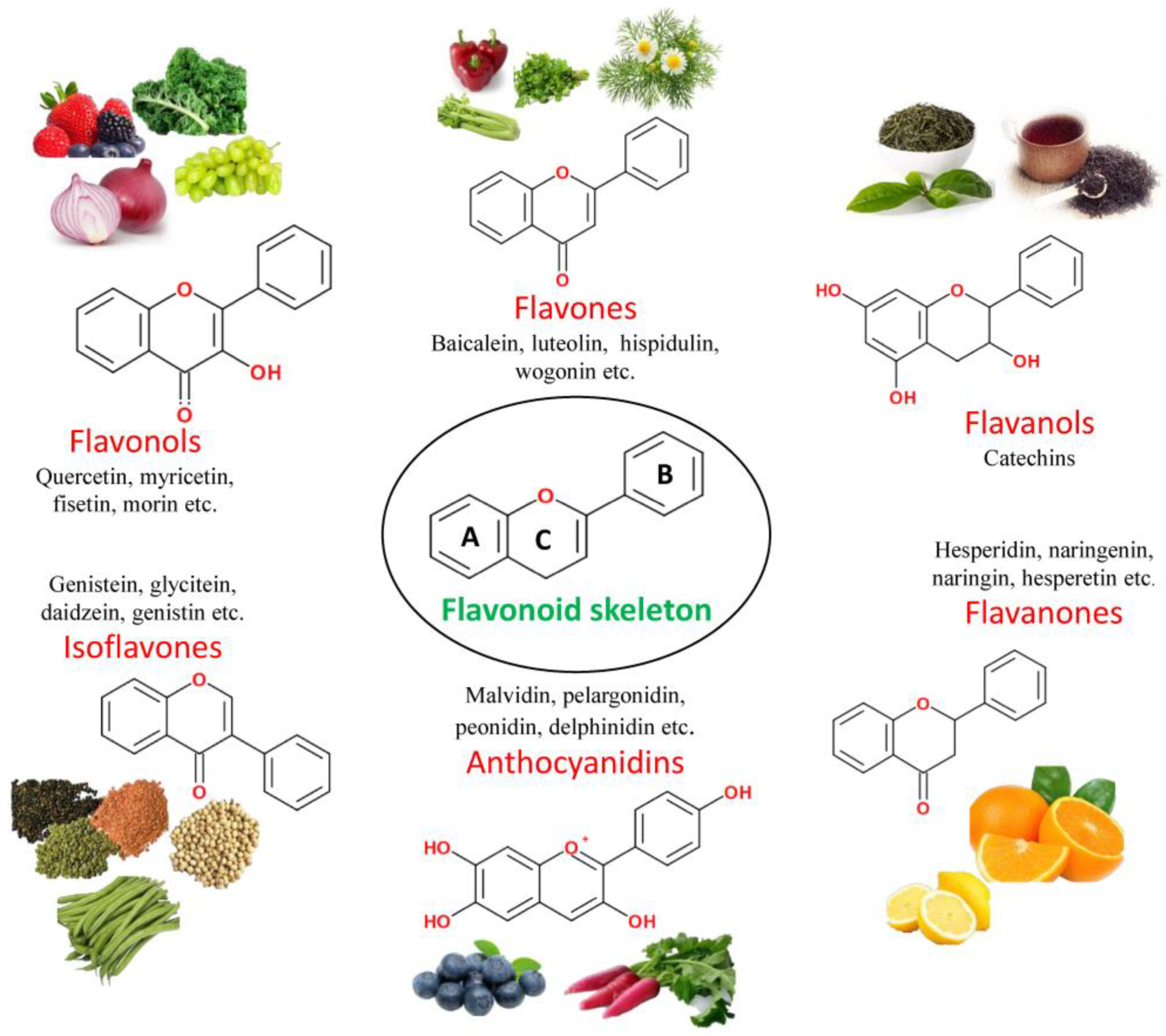 Qu'est Ce Qu'un Flavonoïde