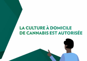 cannabis Luxembourg